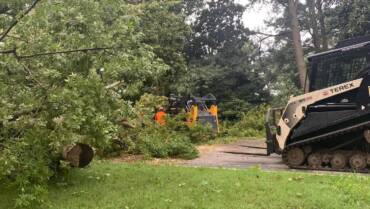 Tree Removal
