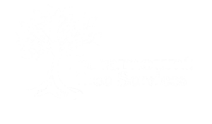 paramount-tree-logo-bw-1-e1597780460926